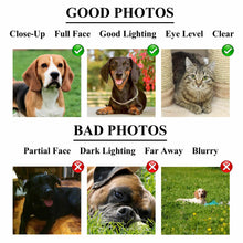 Load image into Gallery viewer, Leather jacket bikers male pet portrait
