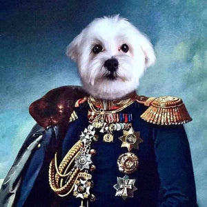 Dog's head on a male human body in a historical costume of a general on a blue background