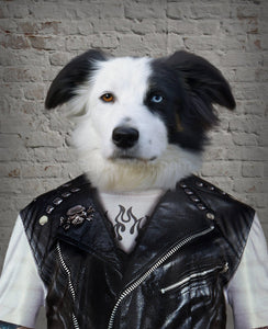 The portrait shows a dog dressed in hooligan clothes standing near a gray brick wall
