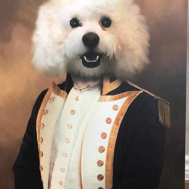White dog depicted with a human body dressed as a captain
