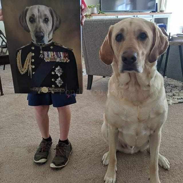 A man holds a portrait of a dog, depicted in a veteran costume with medals, and a Labrador retriever sits nearby