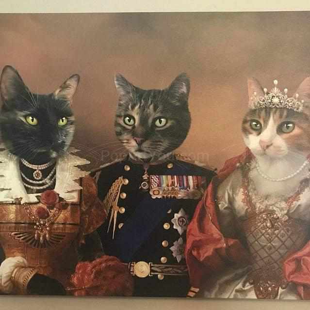 Canvas portrait of three cats in aristocratic attires